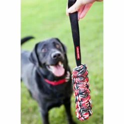 Beaver Tail - Speeltje Dat Drijft Voor Honden