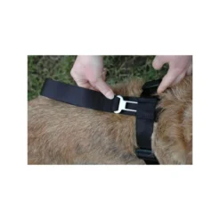 Clix Car Safe Autogordel -huisdier Verkoop clix car safe autogordel 2