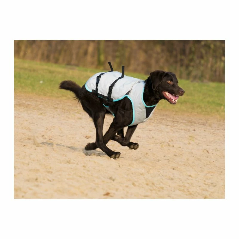 DRY Cooling Vest 1 DRY Cooling Vest