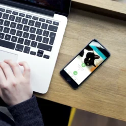 Microchip Kattenluik SureFlap Connect