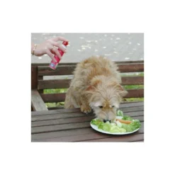 Pet Corrector Spray 50 ML