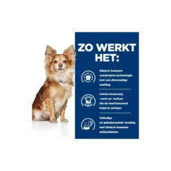 Prescription Diet Mini Canine T/D -huisdier Verkoop prescription diet mini canine td 2