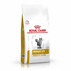 Royal Canin Urinary S/O Kat - Moderate Calorie - Droogvoeding
