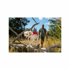 Ruffwear Web Master Harnas -huisdier Verkoop ruffwear web master harnas 2