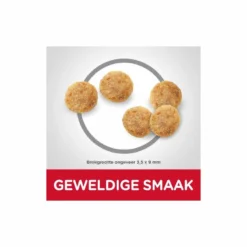 Science Plan Feline Adult Sensitive Stomach And Skin - Kattenbrokken