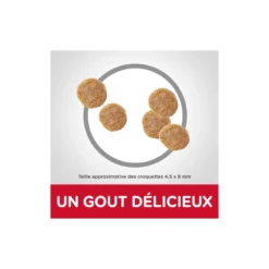 Science Plan Feline Adult Tonijn - Droogvoer