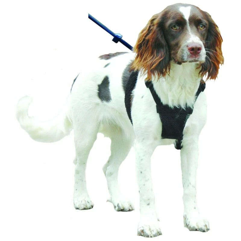 Sporn Harnas - Anti-trekband 4 Sporn Harnas - Anti-trekband - Afbeelding 4