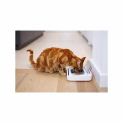 SureFeed - Luchtdichte Voerbak