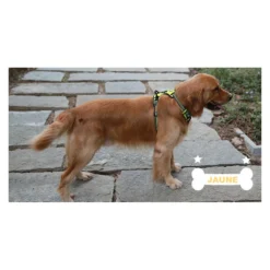 Truelove Anti-trek Harnas -huisdier Verkoop truelove anti trek harnas 8