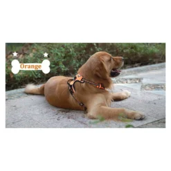 Truelove Anti-trek Harnas -huisdier Verkoop truelove anti trek harnas 9