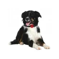 Veiligheidslamp Orbiloc LED