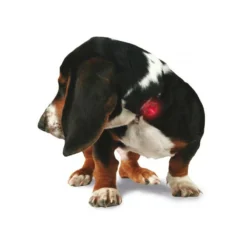 Veiligheidslamp Orbiloc LED 7 Veiligheidslamp Orbiloc LED -huisdier Verkoop veiligheidslamp orbiloc led 1 2