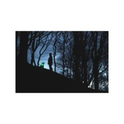 Veiligheidslamp Orbiloc LED 8 Veiligheidslamp Orbiloc LED -huisdier Verkoop veiligheidslamp orbiloc led 1 3